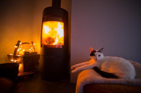 Cosy Log Burner