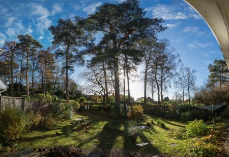 Garden From Ground Floor