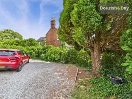 Garden & Driveway