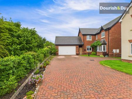 Driveway Approach