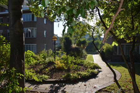 Landscaped Gardens