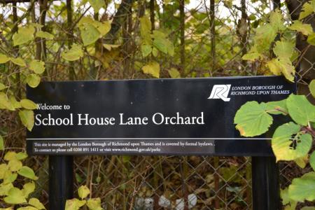 School House Lane Orchard