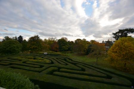 Maze View from Second Floor