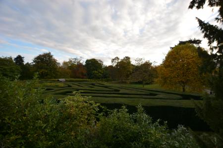 Maze View from First Floor