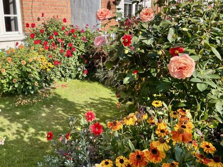 Front Garden