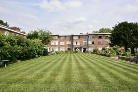 Communal Lawn