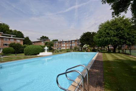 Communal Swimming Pool