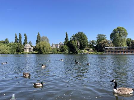 The Thames at Hurst Park