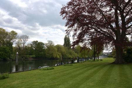 Communal Lawn on The Thames