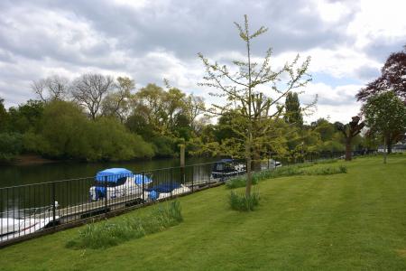 Communal Lawn on The Thames