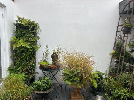 Courtyard Garden