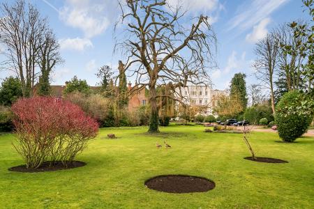 Communal Gardens