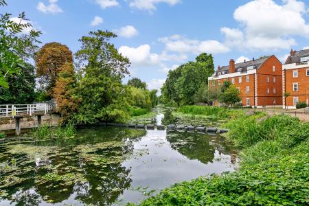 River Mole