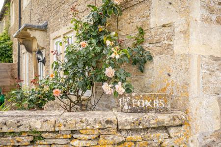 image16