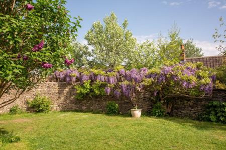 image15