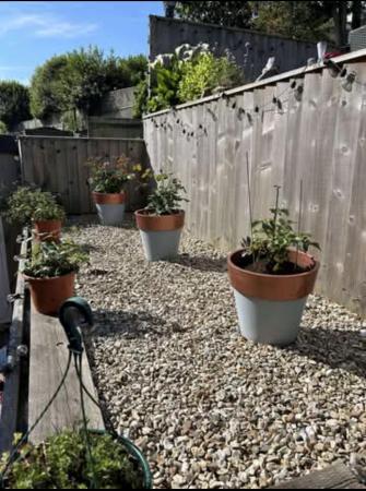 Photo 33