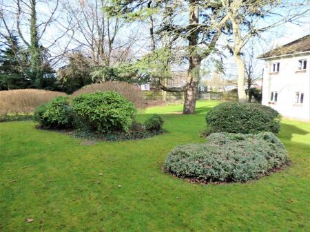Communal Gardens