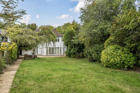 1356296-4-68caccd137