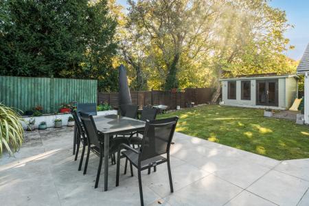 1365305-3-68fb46ba22