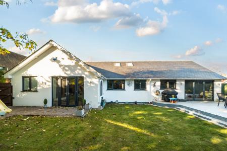 1365305-4-68fb46c1ef