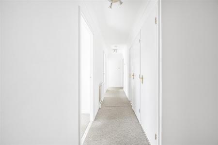 Photo 05-09-2025, 10 36 20.jpg