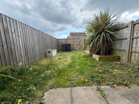 New Garden.jpg