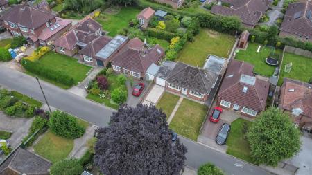 DJI_0731.jpg