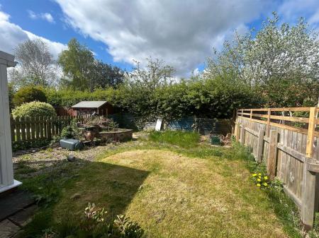 New garden 1.jpg