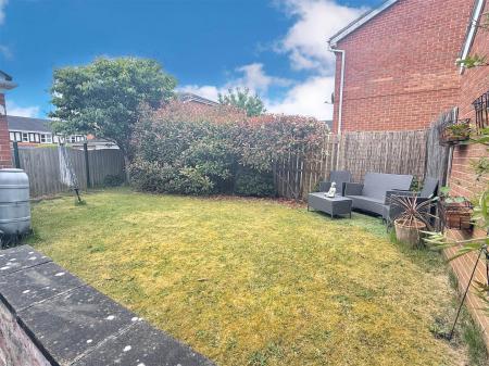 New garden.jpg