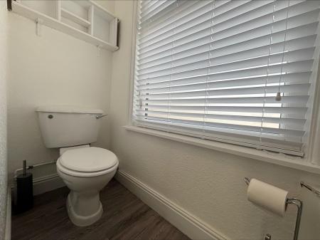 toilet 50a.jpeg
