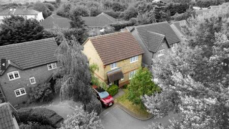 Media image 04