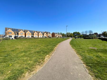 Media image 16