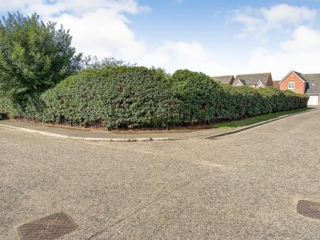 Media image 15