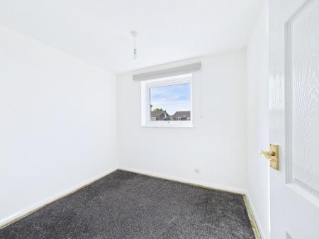 Media image 06
