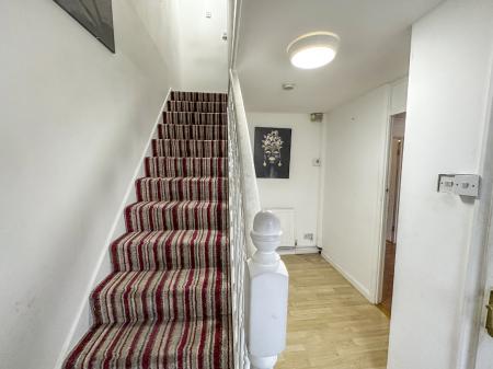 Media image 05