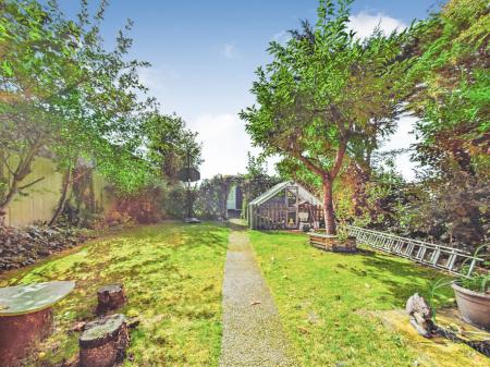 Media image 31