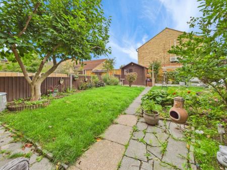 Media image 15