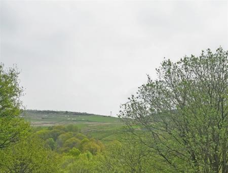 DSC05255A.jpg