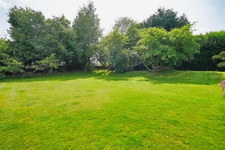 Garden 8.jpg