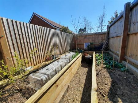 Enclosed Vegetable Area