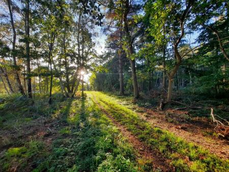 Rushmere Heath and Golf Course