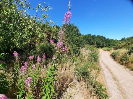 Martlesham Area
