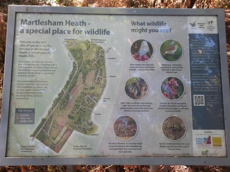 Martlesham Area