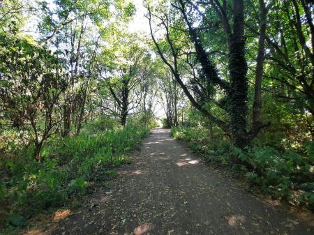 Martlesham Area