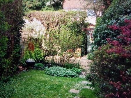 IMG-20250224-WA0058 (2).jpg