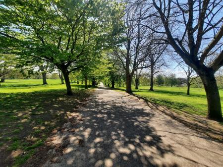 Christchurch Park