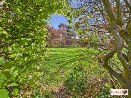 Rear Communal Garden