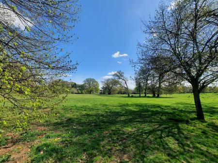 Christchurch Park