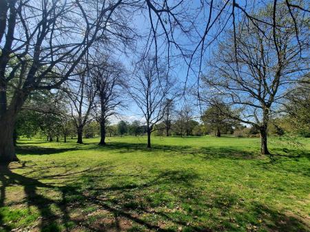 Christchurch Park