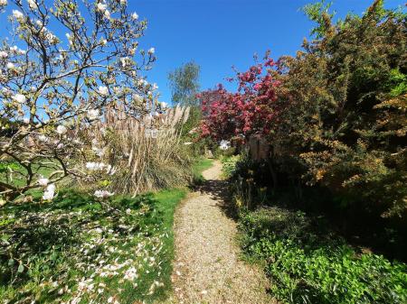 Rear Communal Garden